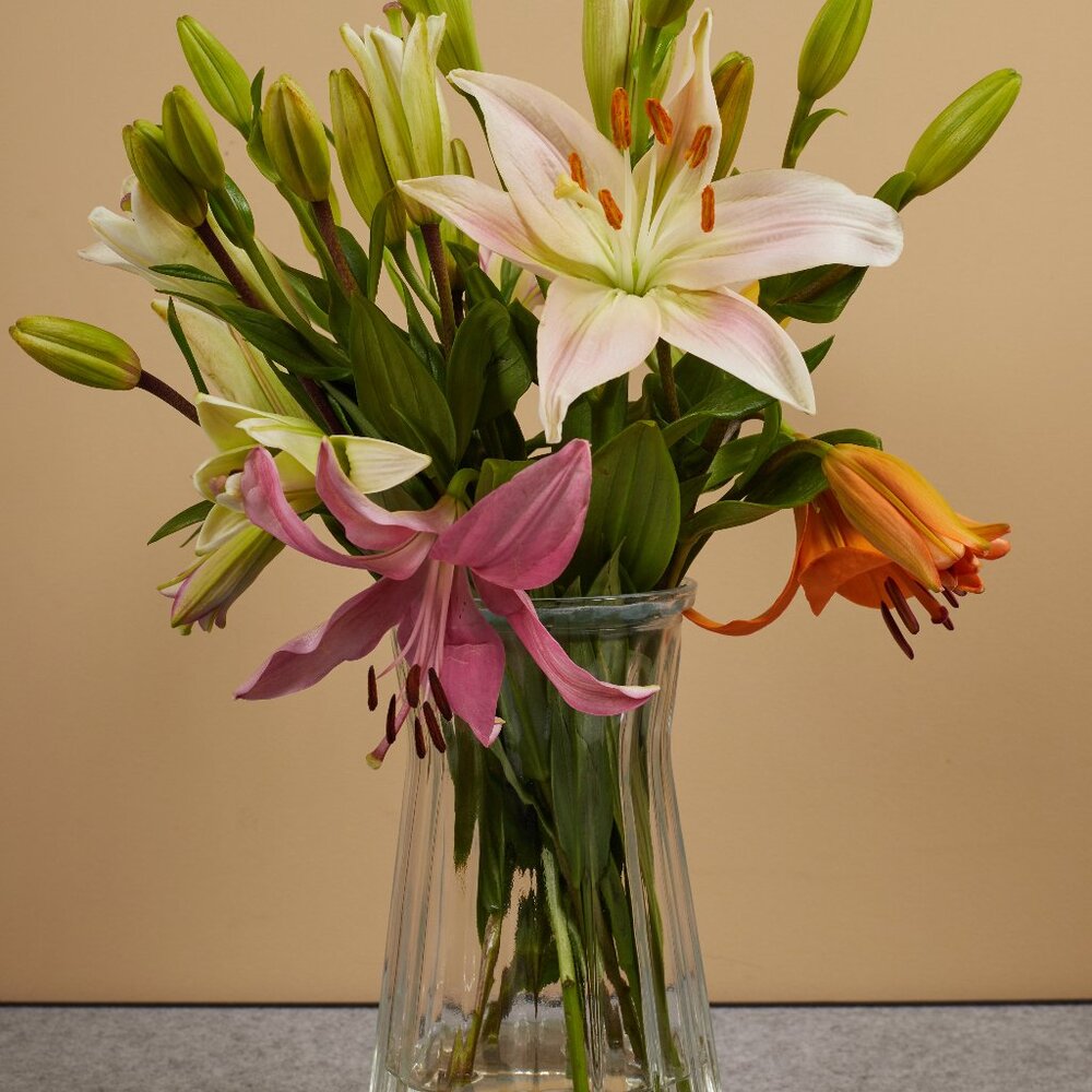 Meet your Posher, Roseanne